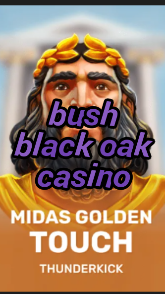 bush black oak casino-3xn3u5udepyz9m9w5iat.com