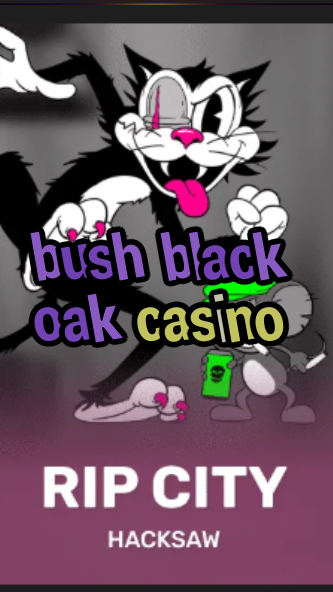 bush black oak casino-3xn3u5udepyz9m9w5iat.com